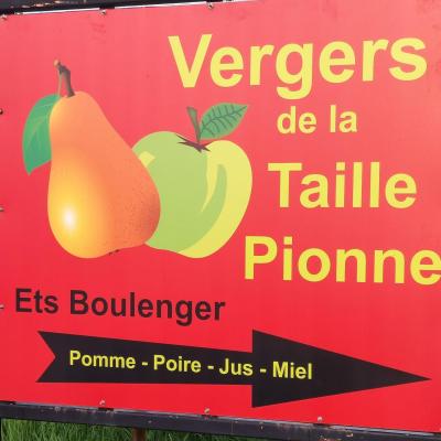 Verger taille pionne